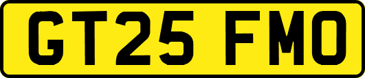 GT25FMO