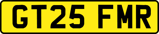 GT25FMR