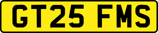 GT25FMS
