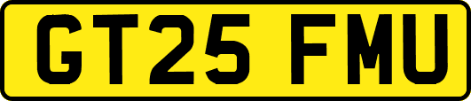 GT25FMU