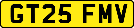 GT25FMV