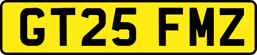 GT25FMZ