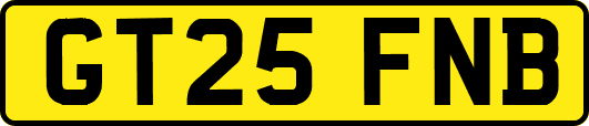GT25FNB