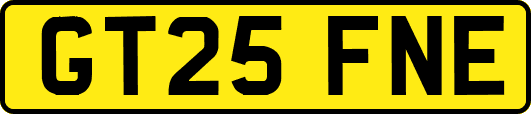 GT25FNE