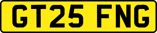 GT25FNG