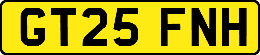 GT25FNH