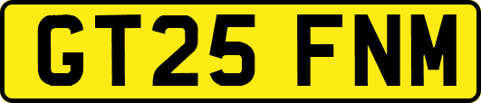 GT25FNM