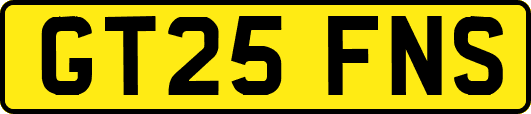 GT25FNS