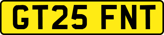 GT25FNT