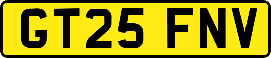 GT25FNV