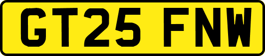 GT25FNW