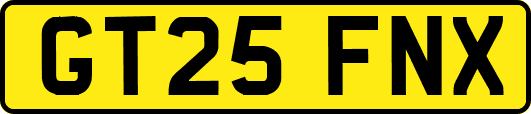 GT25FNX