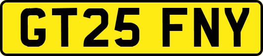 GT25FNY
