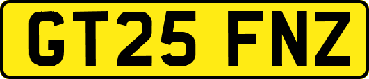 GT25FNZ