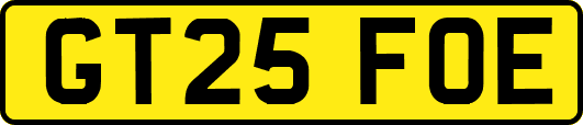 GT25FOE