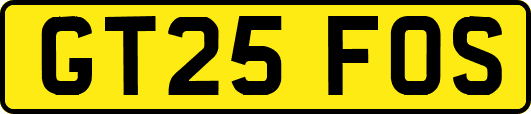 GT25FOS