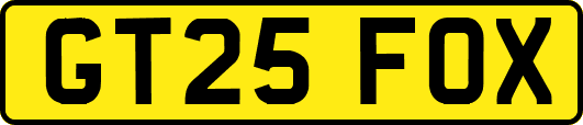 GT25FOX