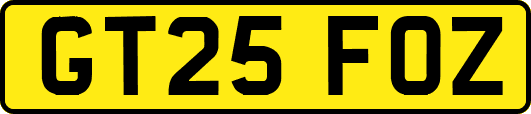GT25FOZ