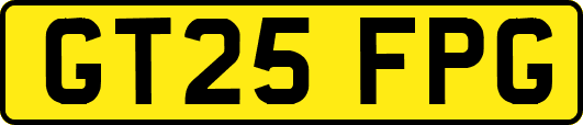 GT25FPG