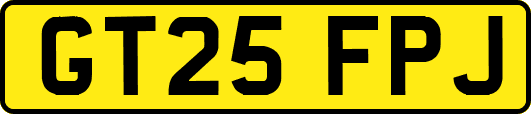 GT25FPJ