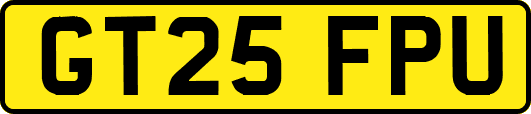 GT25FPU