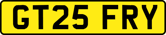 GT25FRY