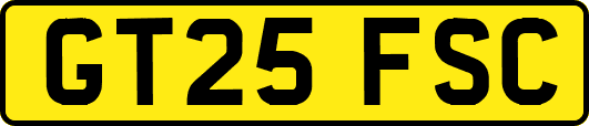 GT25FSC