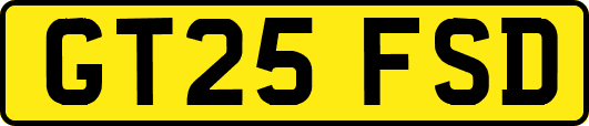 GT25FSD