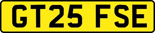 GT25FSE