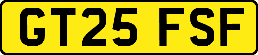 GT25FSF