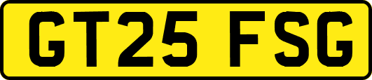 GT25FSG