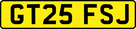 GT25FSJ