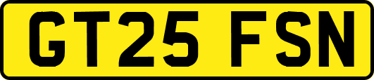 GT25FSN
