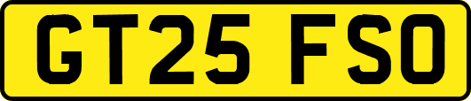 GT25FSO
