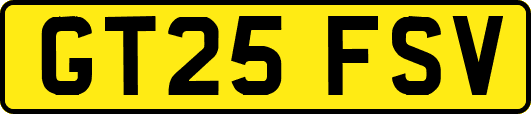 GT25FSV