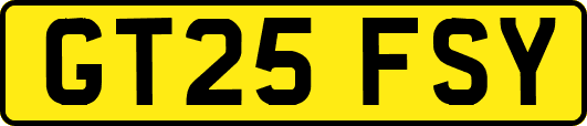 GT25FSY
