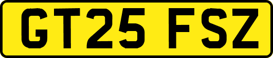 GT25FSZ