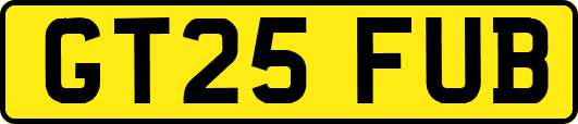 GT25FUB