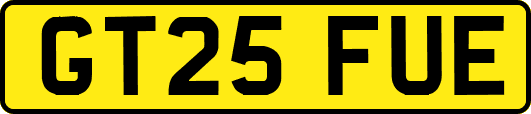 GT25FUE