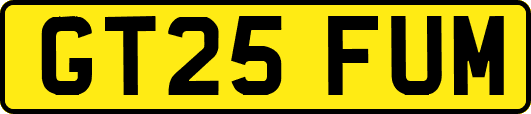 GT25FUM