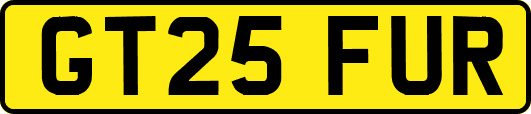 GT25FUR