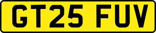 GT25FUV