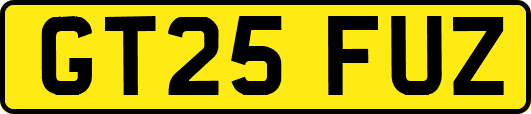 GT25FUZ