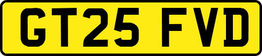 GT25FVD
