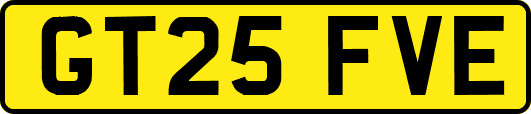 GT25FVE