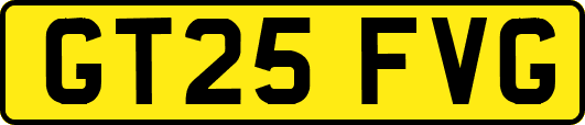 GT25FVG