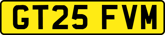 GT25FVM