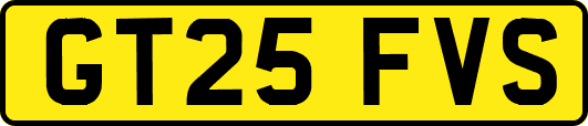 GT25FVS