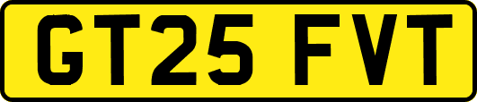 GT25FVT