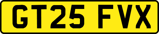 GT25FVX